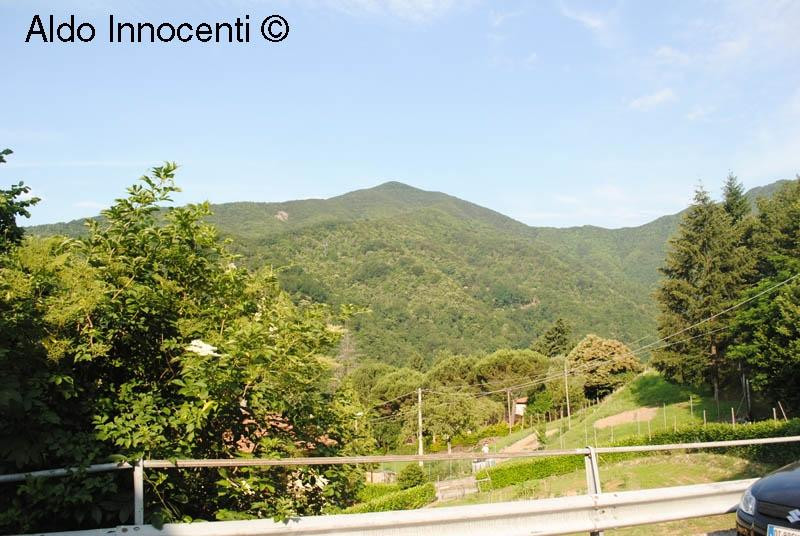 Riserva Naturale Acquerino Cantagallo景点图片