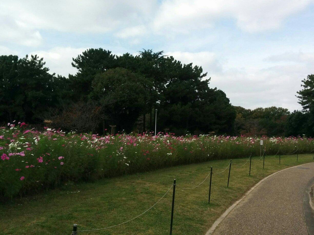 Hattori Ryokuchi Toshi Ryokka Botanical Garden-丰中市必去景点