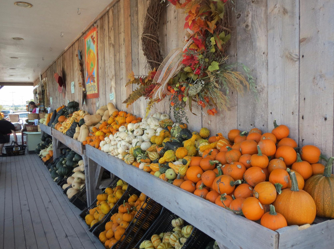 Balderston's Farm Market-Stratford必去景点