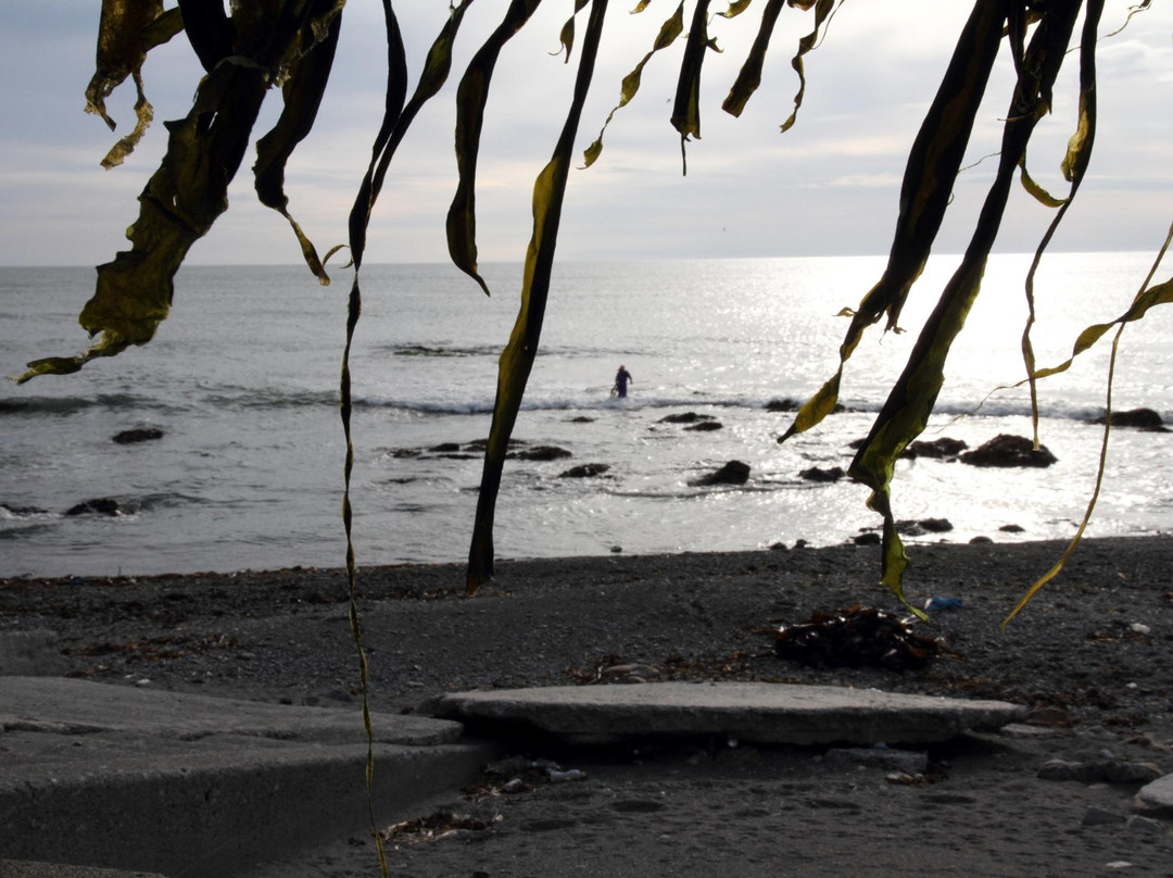 Ogon Road-襟裳町 必去景点