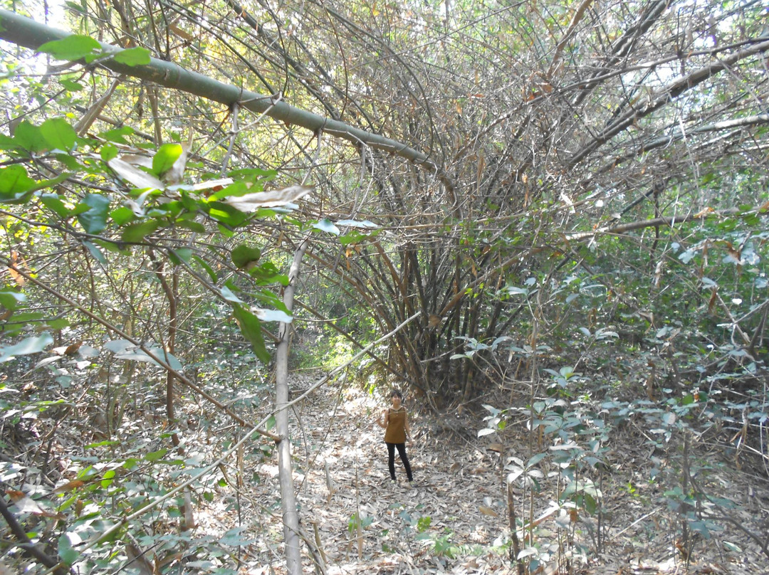 Chintamoni Kar Sangrahalay景点图片