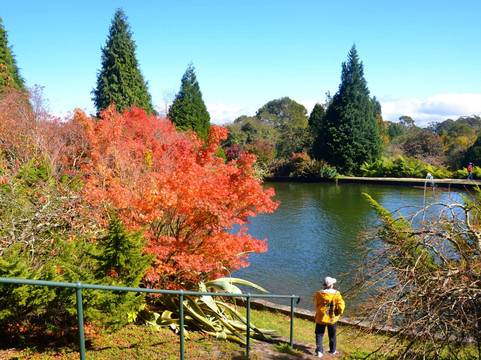 威尔逊山旅游攻略图片
