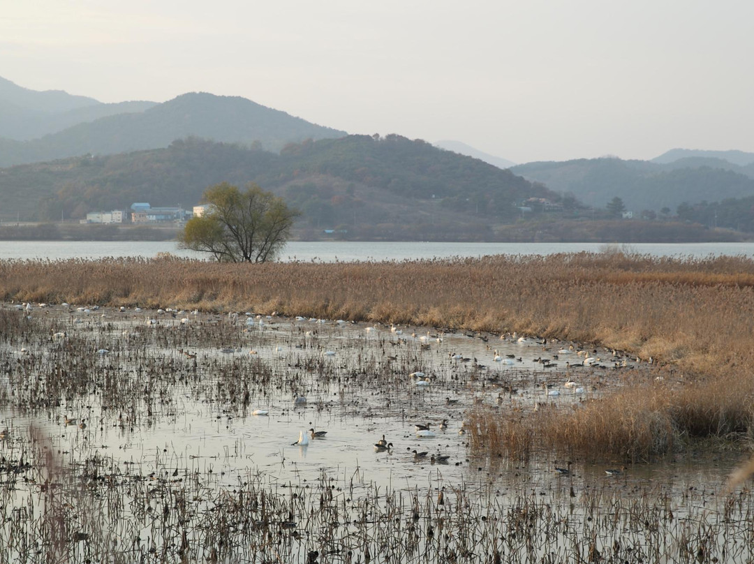 Junam Reservoir景点图片