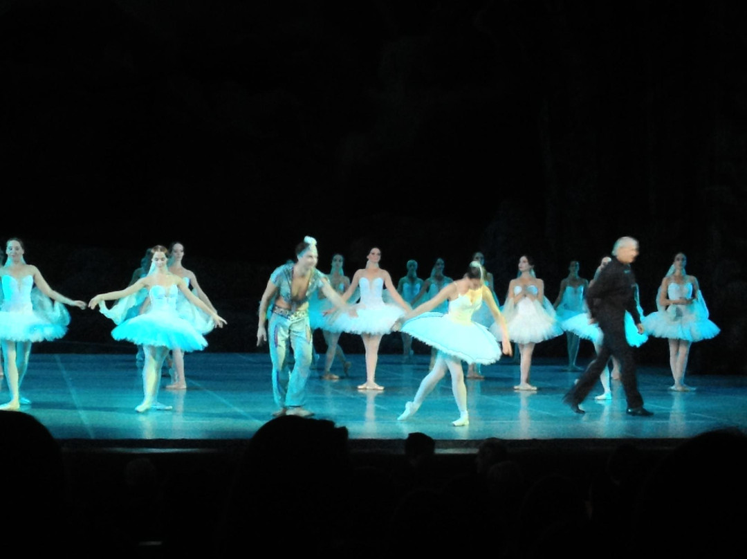 Yuriy Grigorovich's Ballet Theatre景点图片