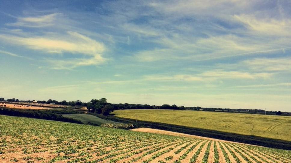 Weston酒店住宿-Higher Coxes Farm