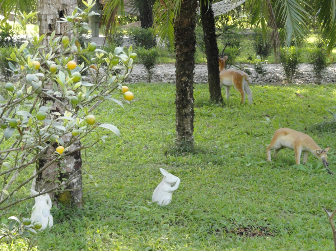 Tiger Residency Resort-奇旺国家公国必去景点