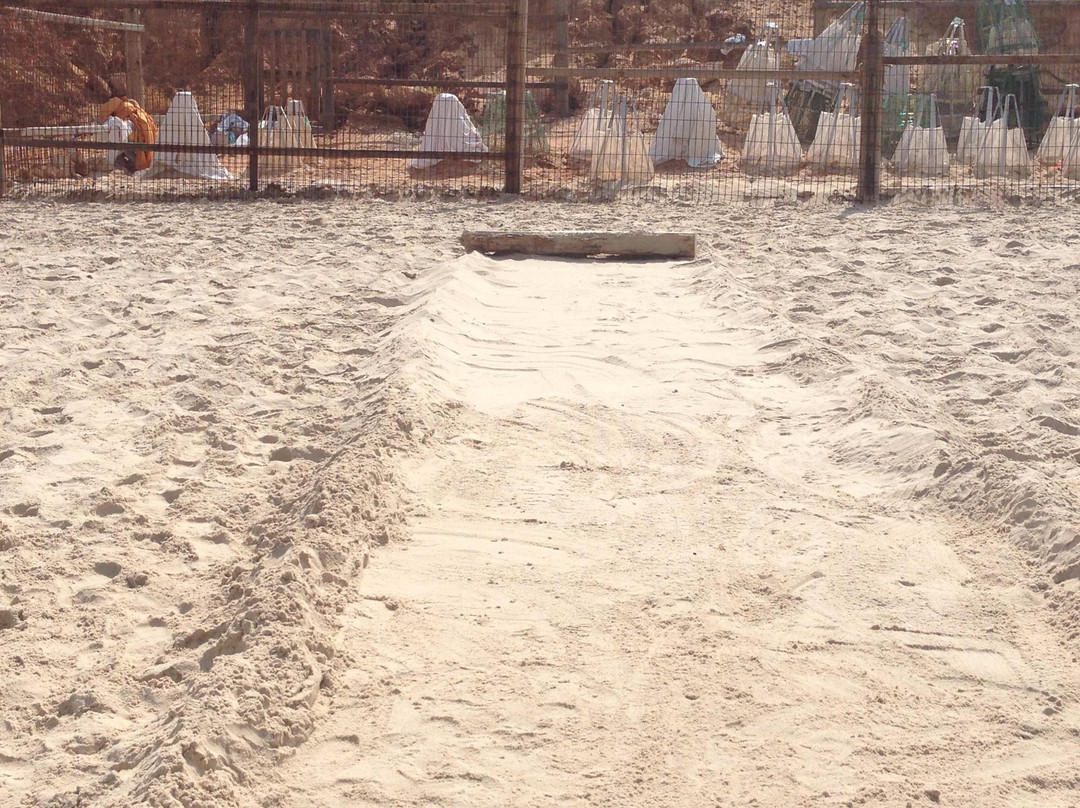 Mikhmoret Beach-Mikhmoret必去景点