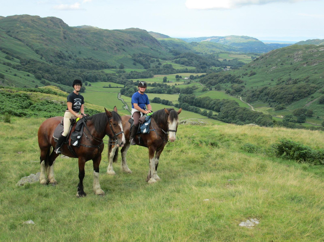 Cumbrian Heavy Horses景点图片