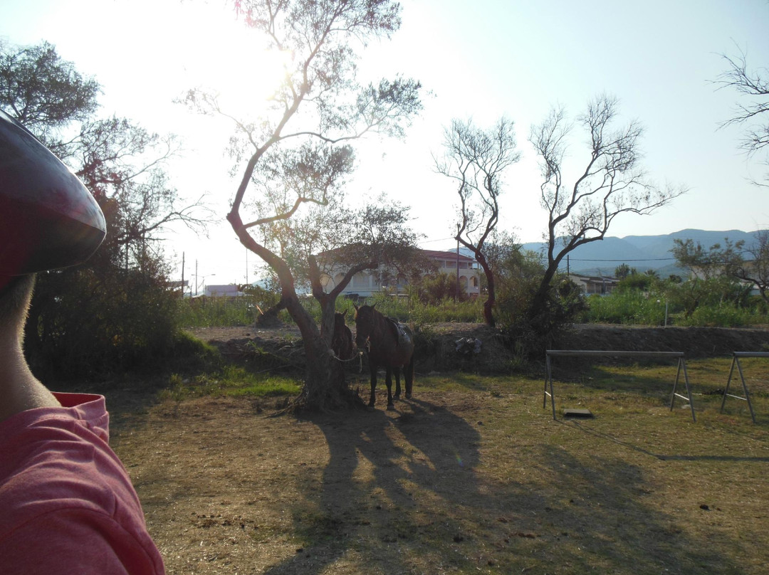 Kostas Horse Riding Corfu景点图片