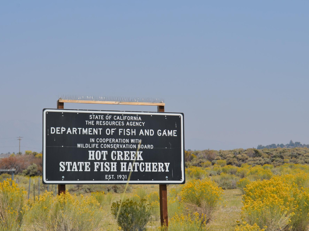 Hot Creek Fish Hatchery景点图片