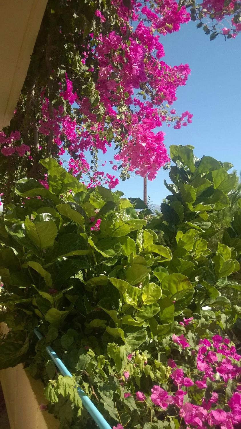 Hotel Knossos-客卧