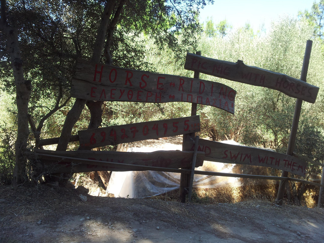 Panouris Ranch-Samos Town必去景点