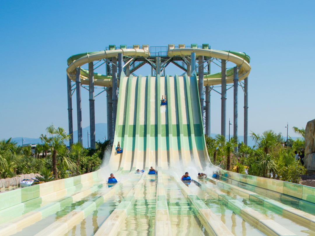 Wave Island景点图片