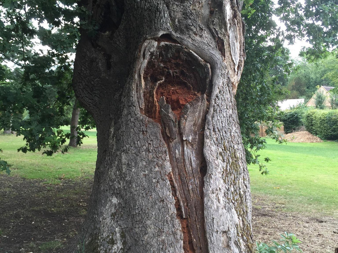 Eastcote House Gardens景点图片