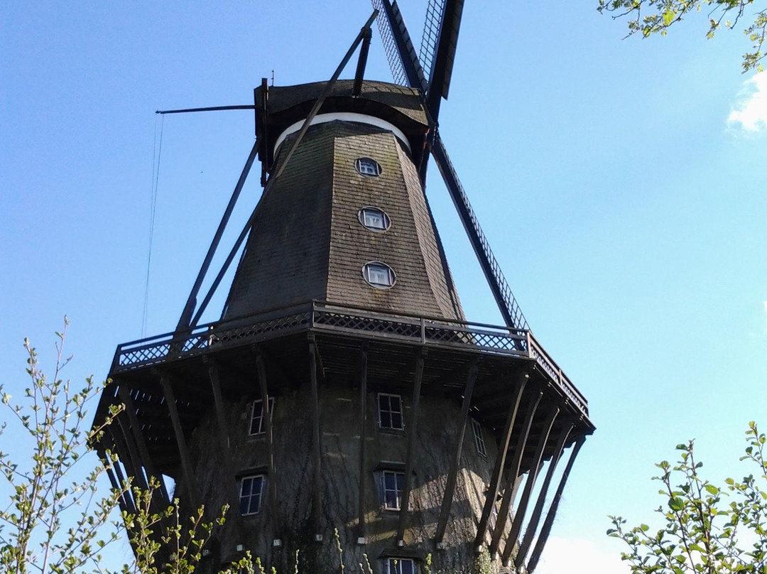Internationales Wind- und Wassermuehlen-Museum-Gifhorn必去景点