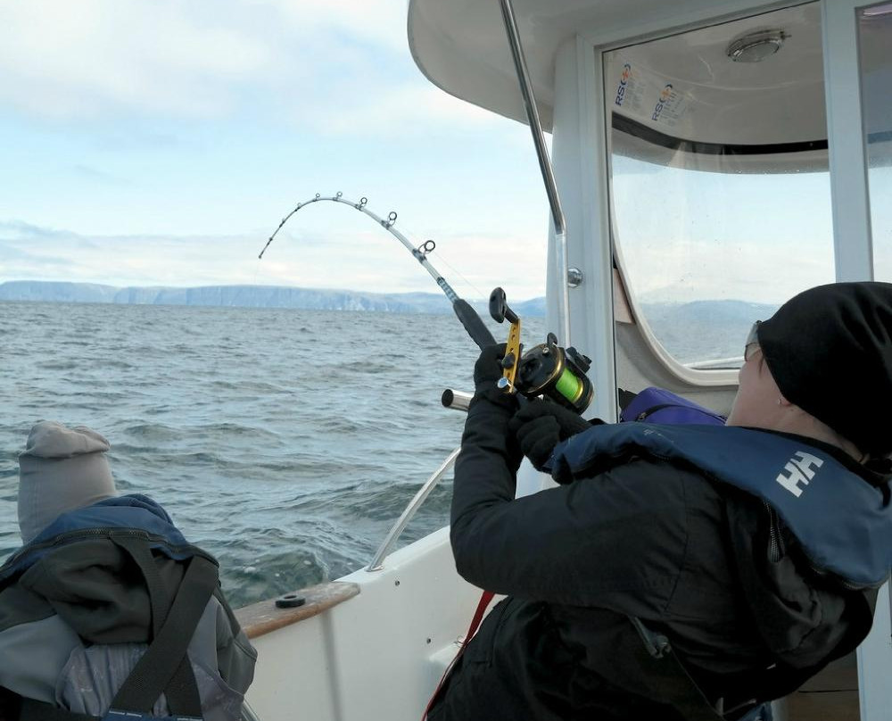 Best Fishing Nordkapp-霍宁斯沃格必去景点