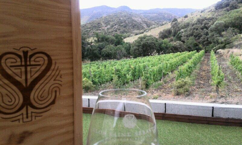 Domaine Saint Sebastien景点图片