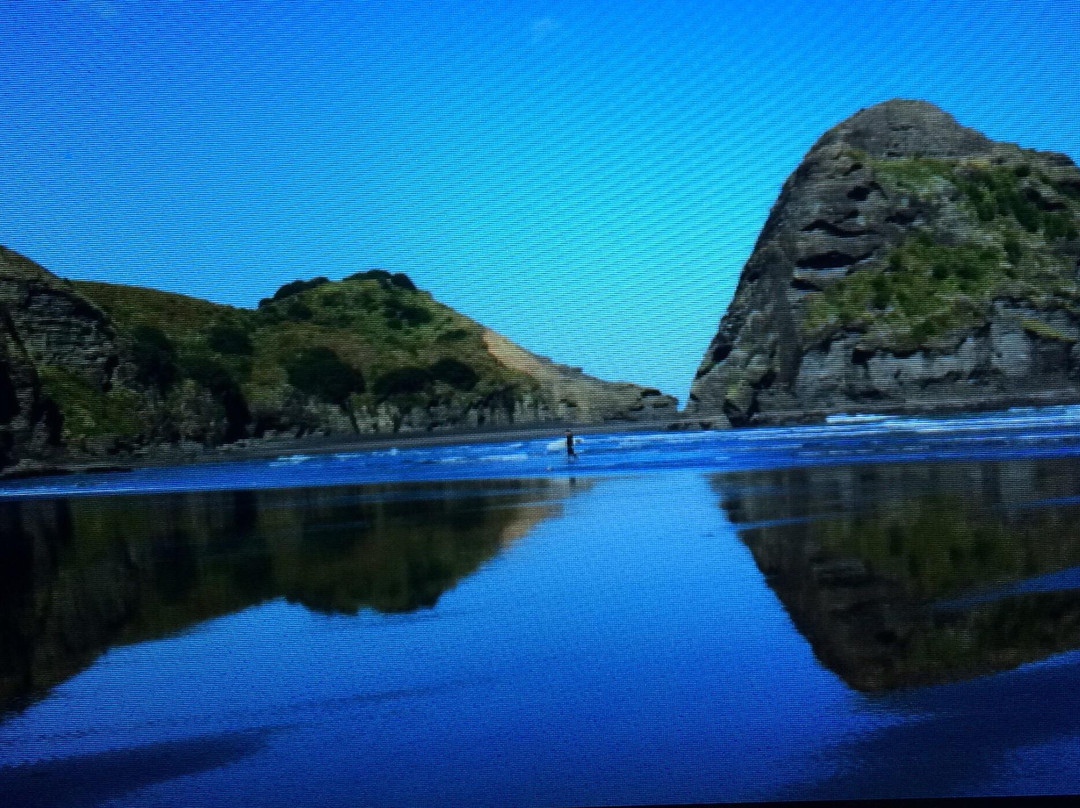 Auckland Photography Tours-奥克兰中心地区必去景点