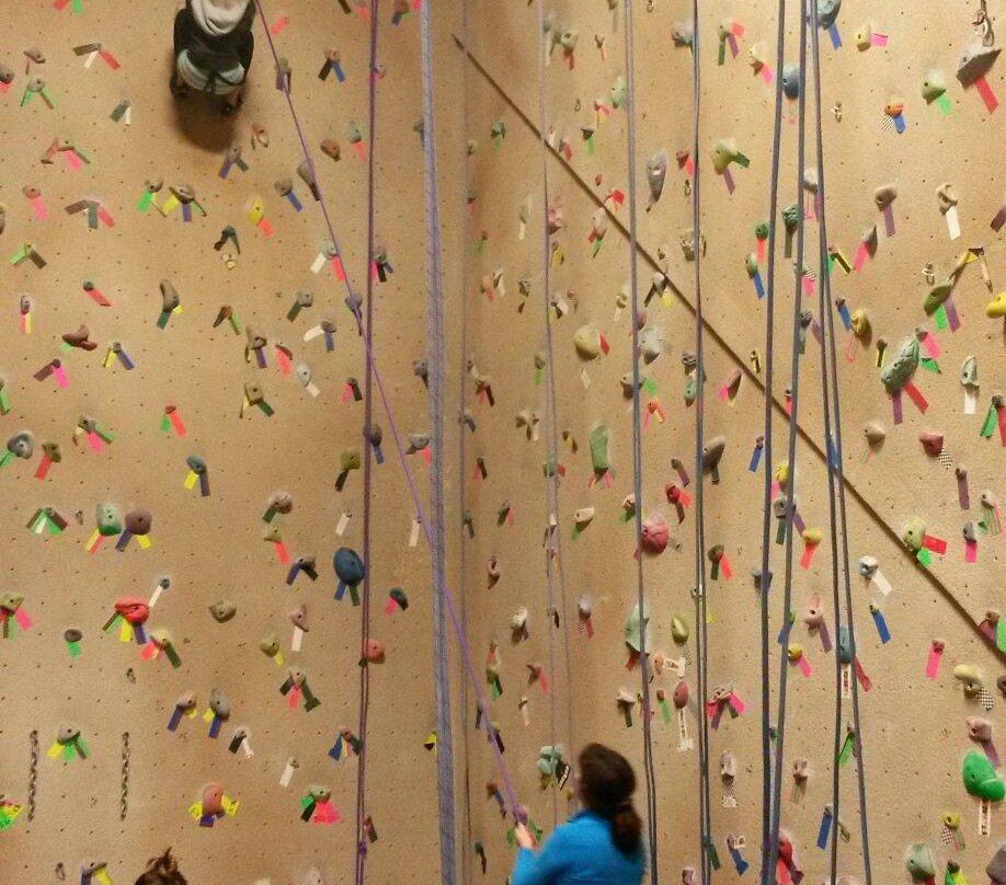 Dogtooth Climbing Gym-戈尔登必去景点