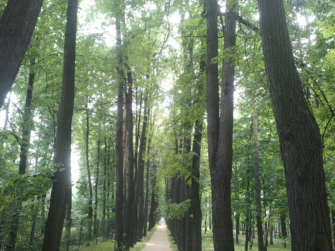 Perlovskiy Park景点图片