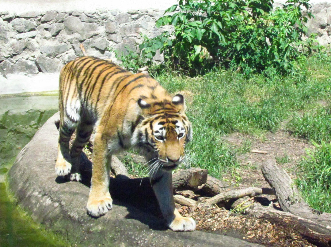 Cherkasy Zoo-Cherkasy必去景点