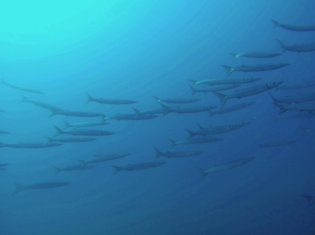 SubVillage-克罗托内必去景点