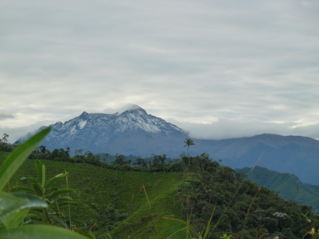 CloudForestAdventure