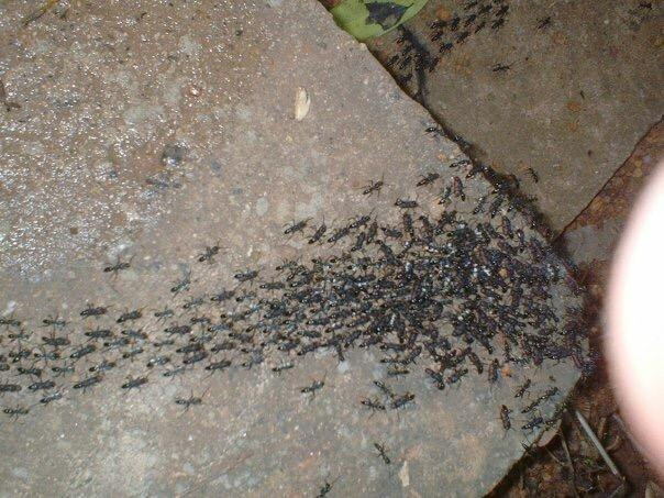 Samrong Kiat Waterfall  (Namtok Pisad)-坤汉必去景点