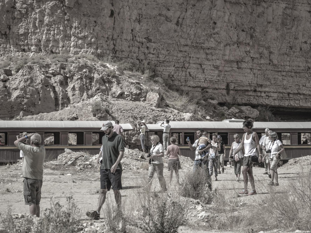 Red Lizard Train-Metlaoui必去景点