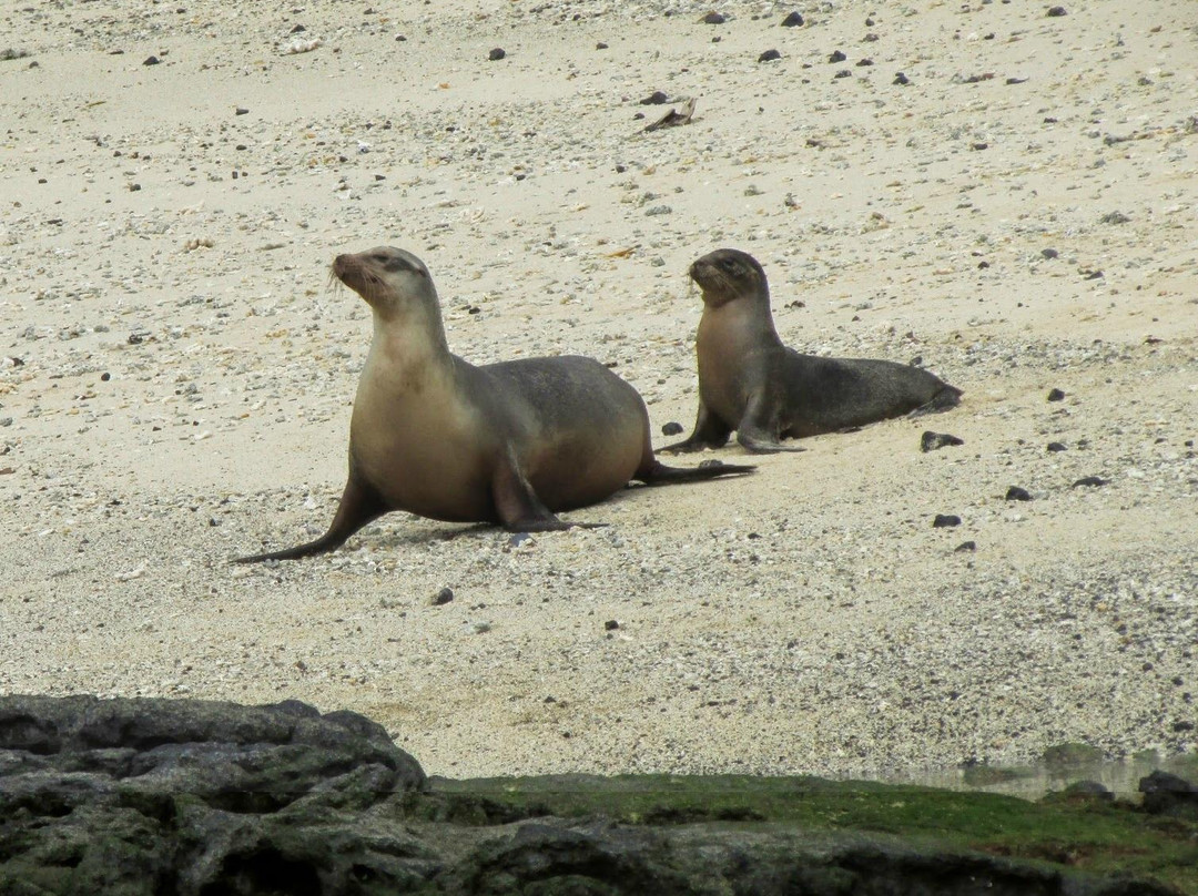 Galapagos Islands Hotel