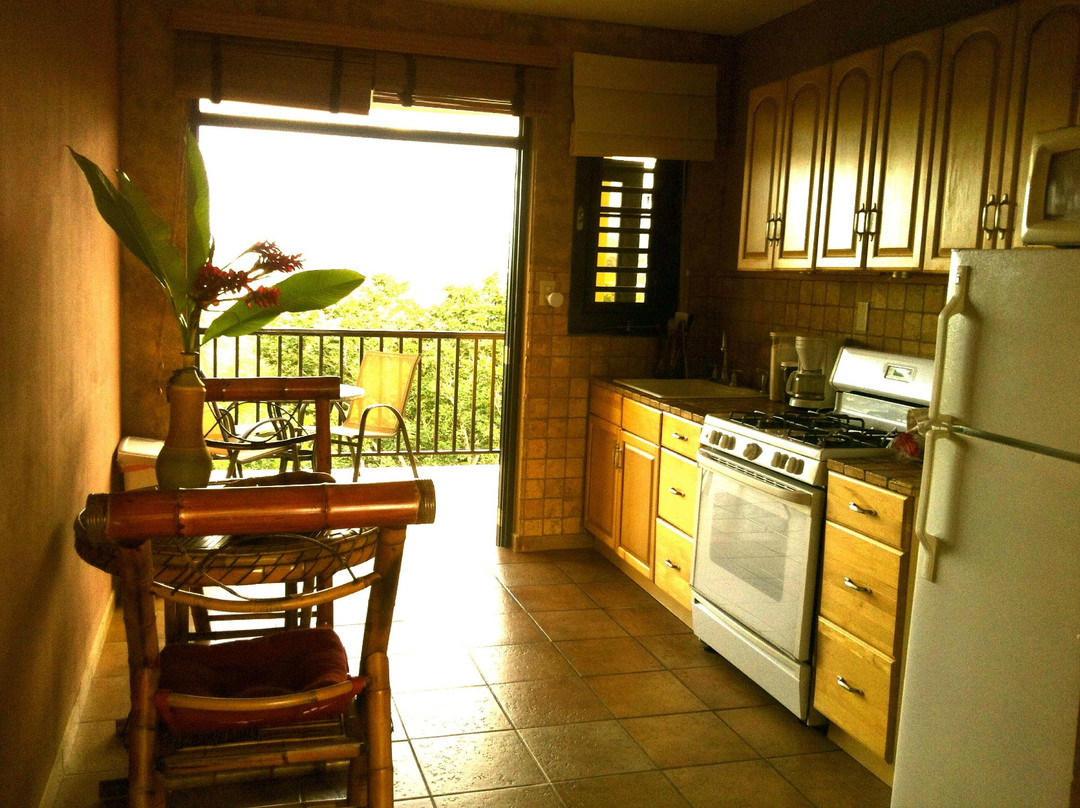 The Terraces at Rincon主图