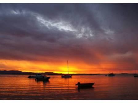 Joseph Banks Regional Park-1770镇必去景点