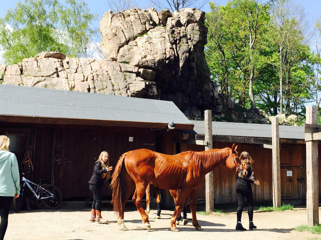 Western City-Sciegny必去景点