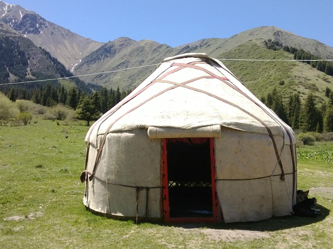 Shamshy Nomad's Yurt Inn