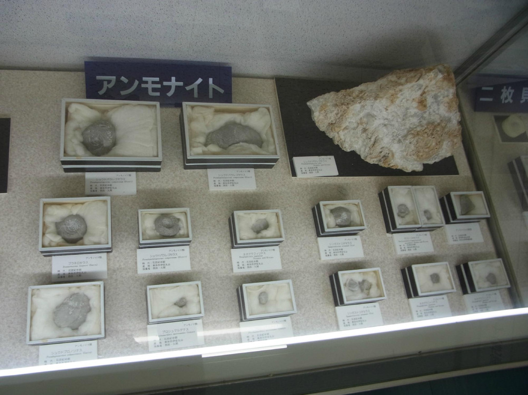 Akiyoshi-dai Museum of Natural History-美祢市必去景点