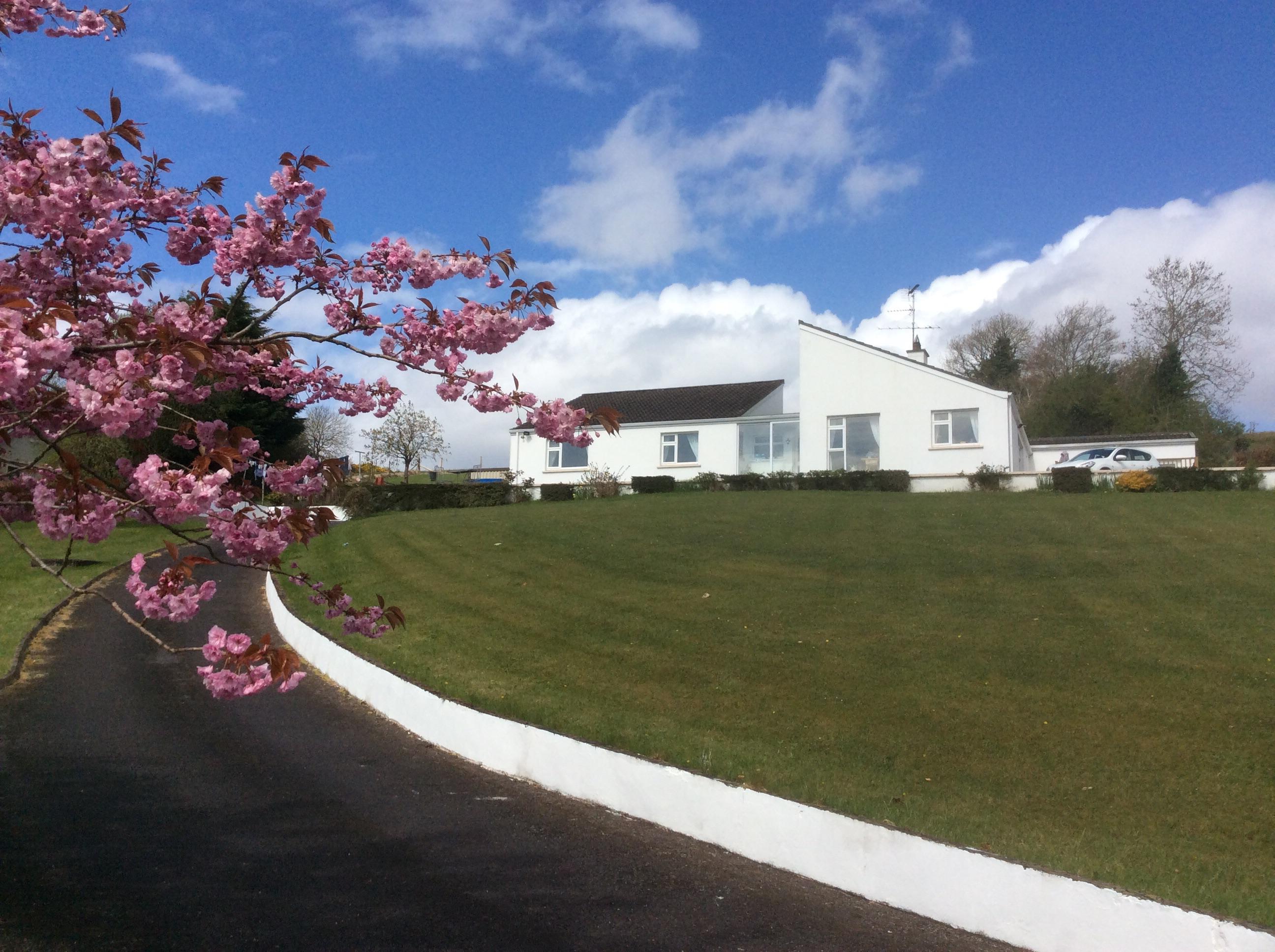 Hill Top View Bed & Breakfast-官方