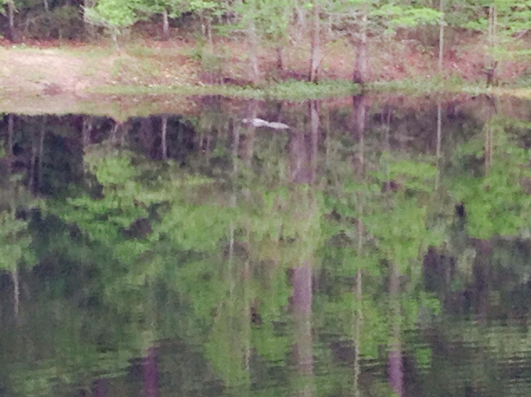 The Witch-Conway必去景点