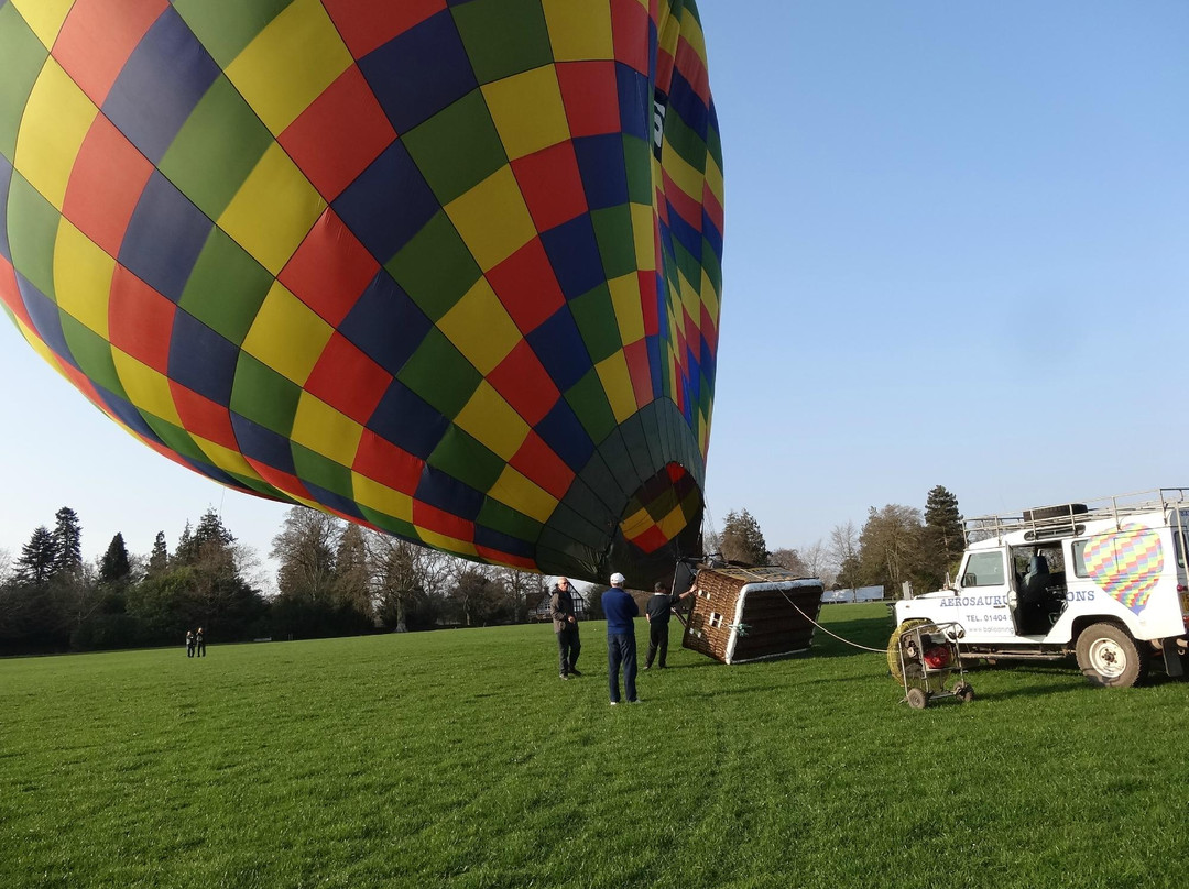 Aerosaurus Balloons景点图片