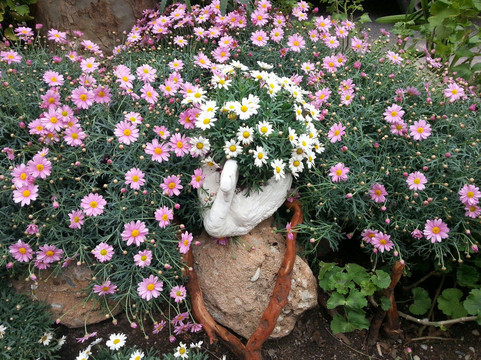 Cafè Mauri-阿尔本加必去景点