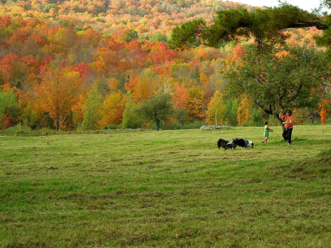 Hazen's Notch-Montgomery必去景点