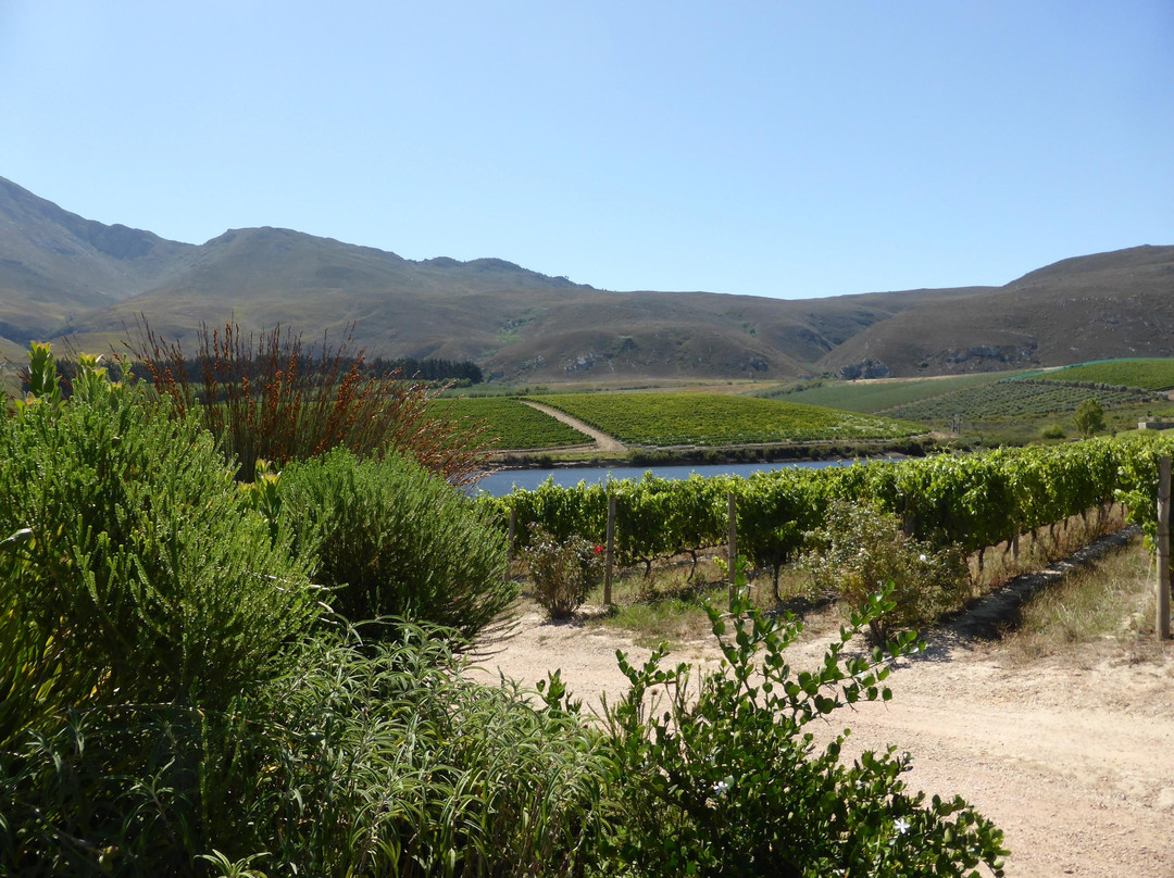 Creation-赫曼努斯必去景点