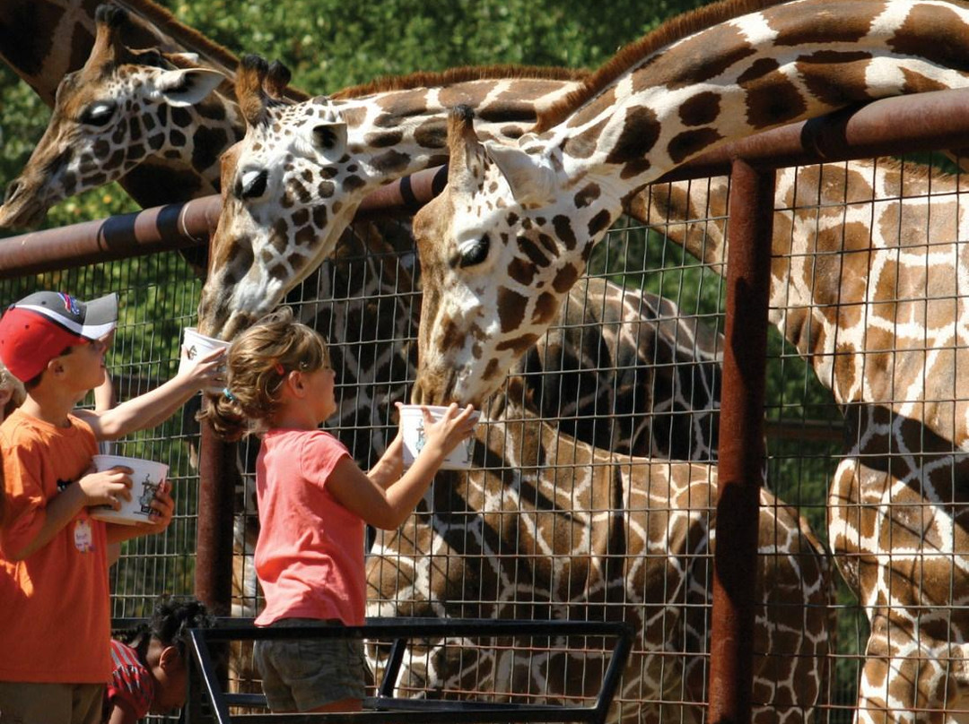 The Lazy 5 Ranch-穆尔斯维尔必去景点