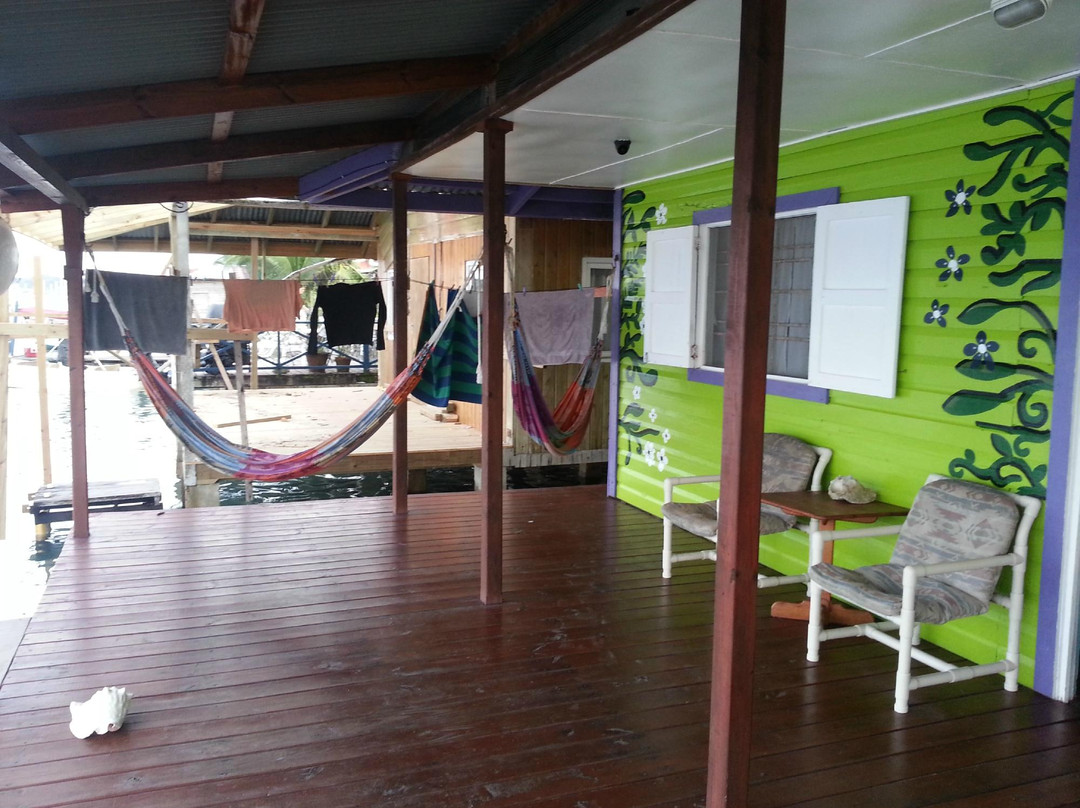 Bocas Surf School & Hostel景点图片