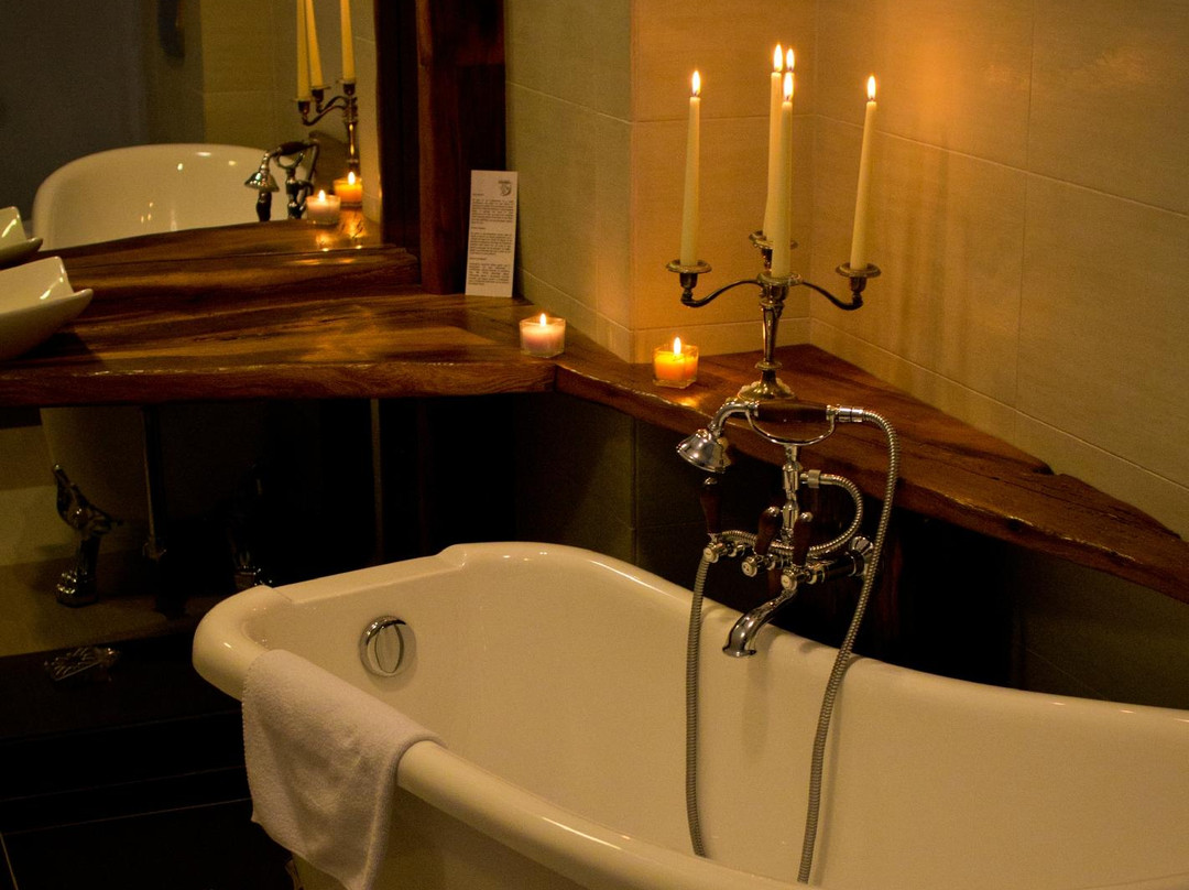 Hoghiz酒店住宿-Castle Hotel Daniel