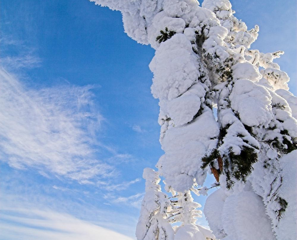 Koli Active-Koli必去景点