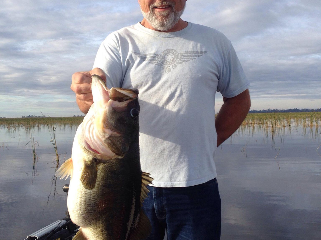 Mark King Bass Fishing Guide景点图片