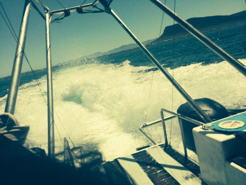 I Did Africa - Shark Cage Diving-干斯拜必去景点