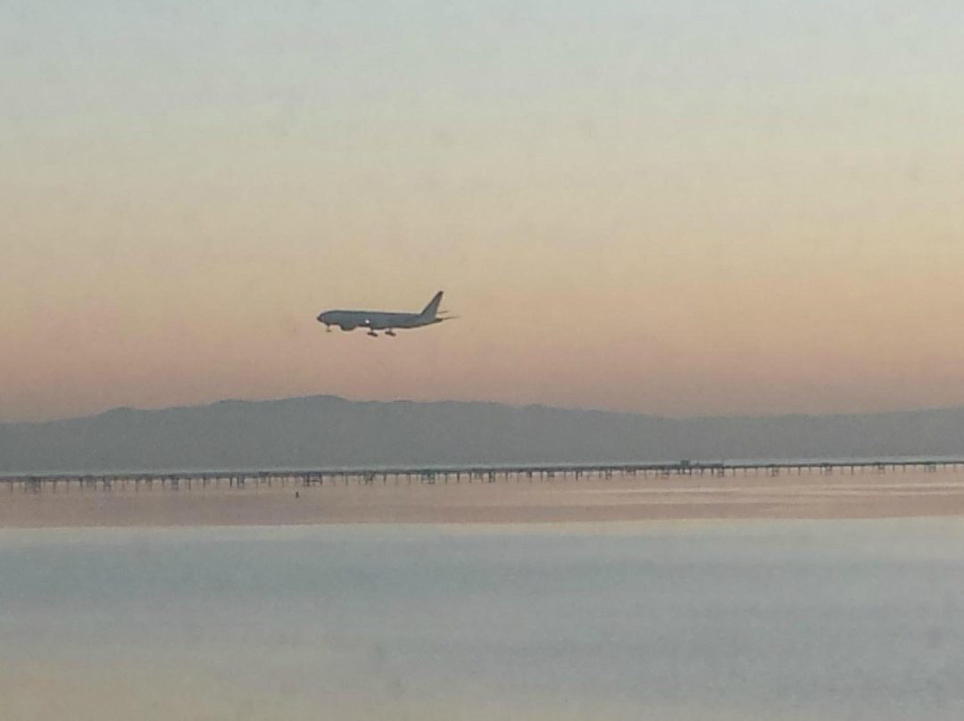 Shorebird Sanctuary-伯灵格姆必去景点