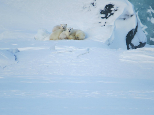 Spitzbergen Adventures-朗伊尔城必去景点