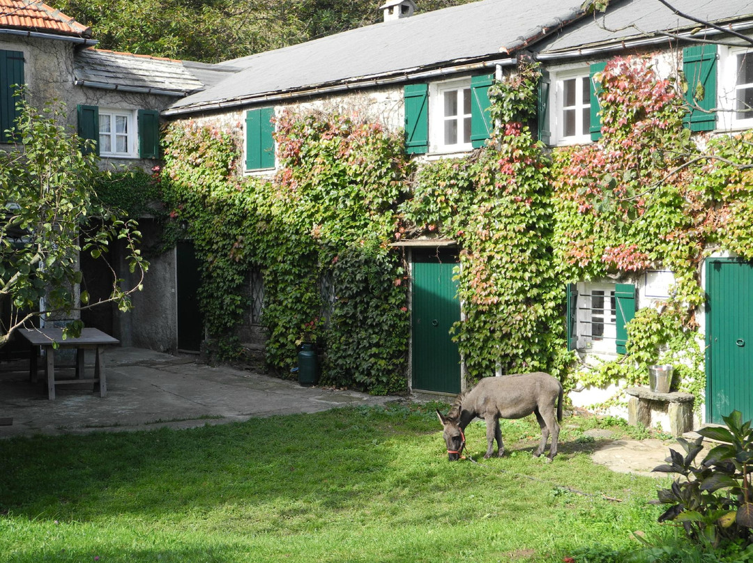 Nonna Carli - Azienda Agricola del Passo del Turchino-热那亚必去景点